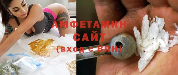apvp Иннополис