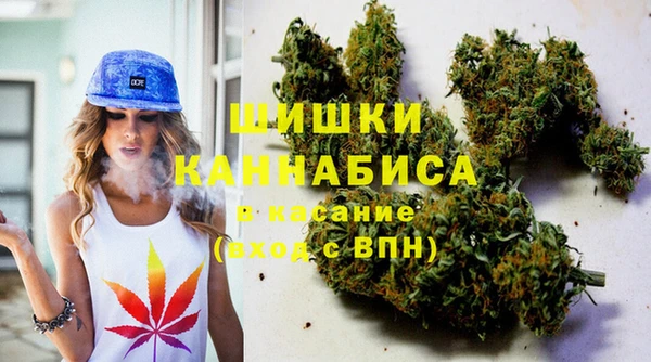 эйфоретик Инсар