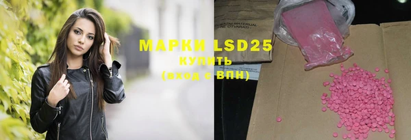 apvp Иннополис