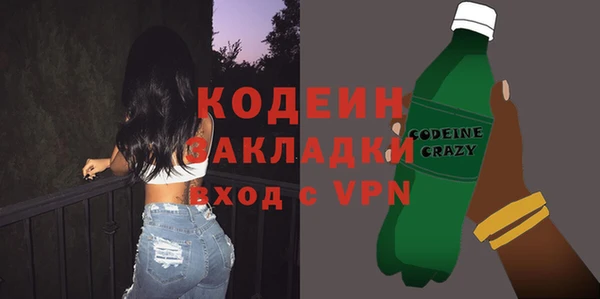apvp Иннополис