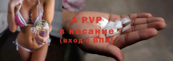apvp Иннополис
