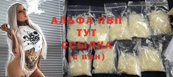 apvp Иннополис