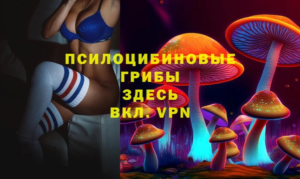 jwh Каменка