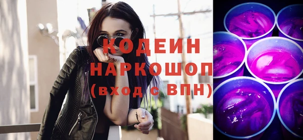 apvp Иннополис