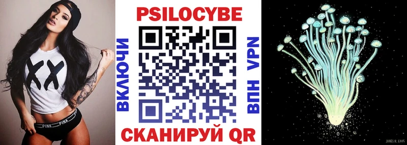 Псилоцибиновые грибы Psilocybe  закладки  Новый Уренгой 